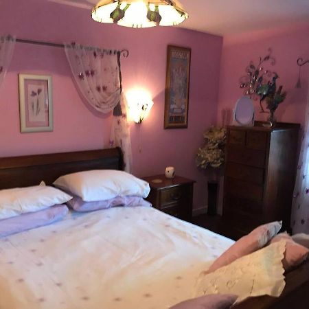 Cosy Cottage For Ecotourism Lovers Near Corwen Eksteriør bilde