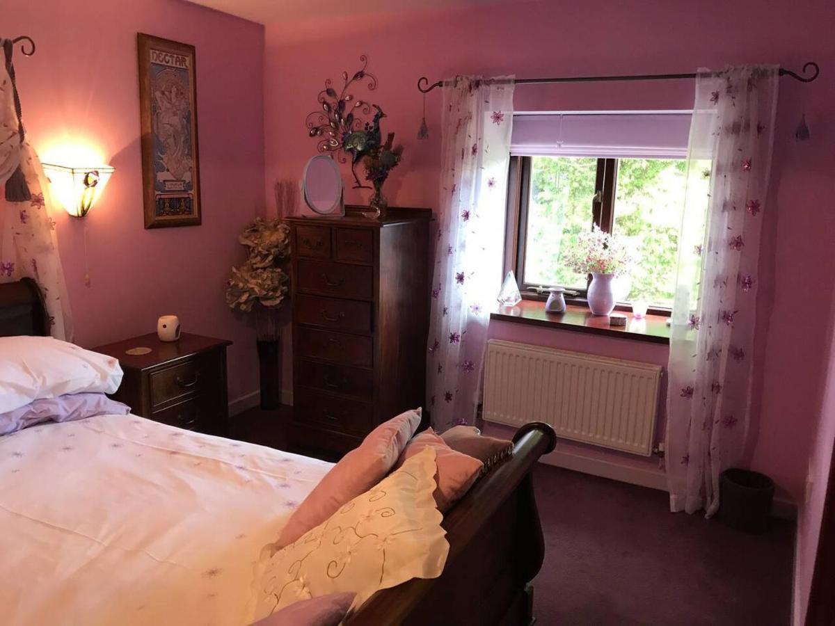 Cosy Cottage For Ecotourism Lovers Near Corwen Eksteriør bilde